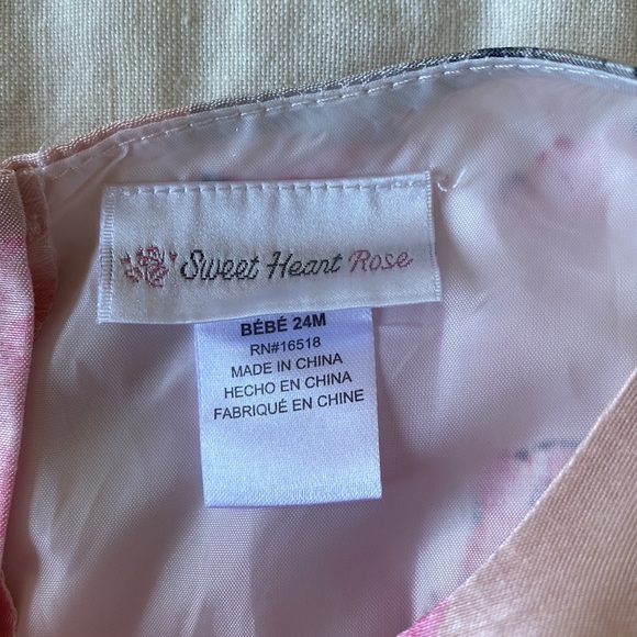 Sweet Heart Rose Floral Pink Sleeveless Dress Size 24 Months - Picture 4 of 11